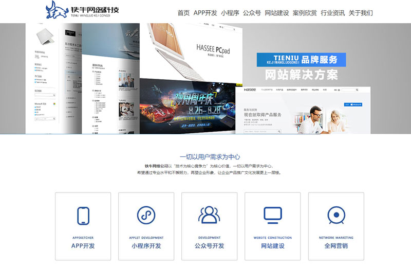​铁牛网络科技品牌型网站建设（铁牛科技带你快速认识品牌型网站）